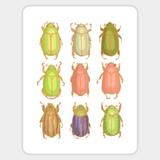 CHRYSINA Sticker